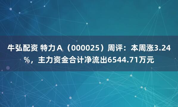 牛弘配资 特力Ａ（000025）周评：本周涨3.24%，主力资金合计净流出6544.71万元