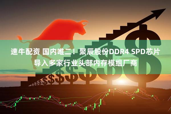 速牛配资 国内唯二！聚辰股份DDR4 SPD芯片导入多家行业头部内存模组厂商