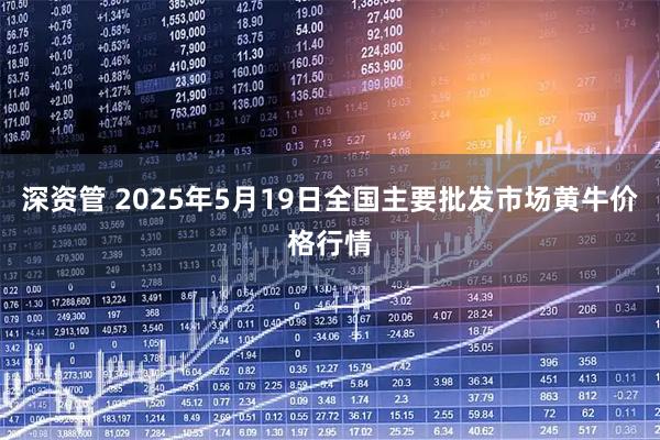 深资管 2025年5月19日全国主要批发市场黄牛价格行情