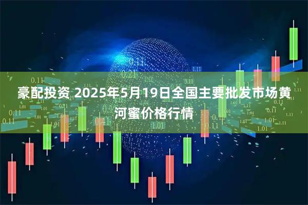 豪配投资 2025年5月19日全国主要批发市场黄河蜜价格行情