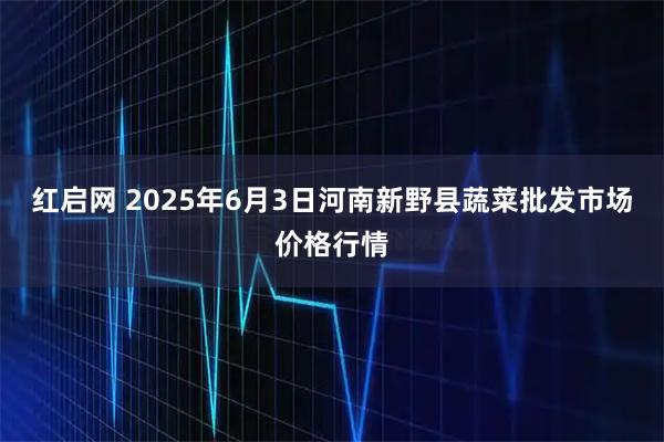 红启网 2025年6月3日河南新野县蔬菜批发市场价格行情