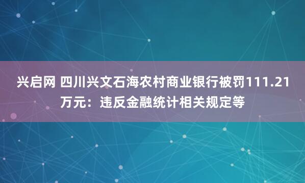 兴启网 四川兴文石海农村商业银行被罚111.21万元：违反金融统计相关规定等