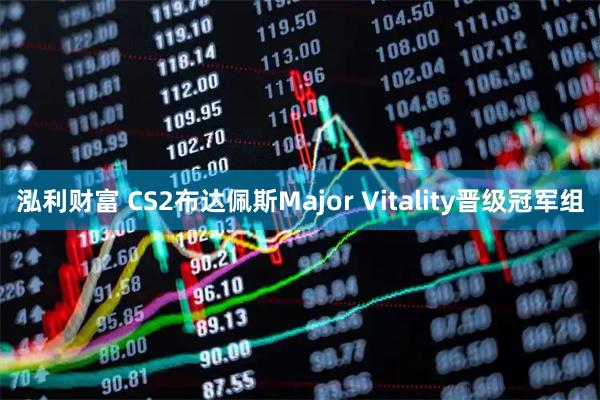 泓利财富 CS2布达佩斯Major Vitality晋级冠军组