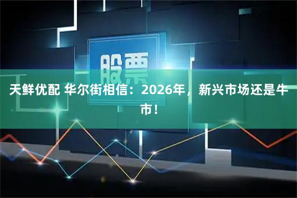 天鲜优配 华尔街相信：2026年，新兴市场还是牛市！